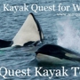 Sea Quest Kayak Tours