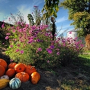 Benton Family Farm - Historical Places