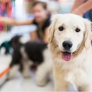 Daragan's Dog Care - Pet Boarding & Kennels