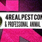 4Real Pest Control & Professional Animal Trapping