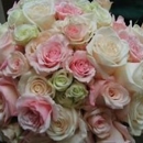 Martinsville Florist - Florists