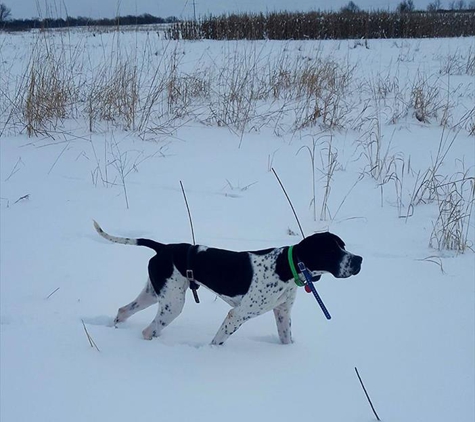 Lumpy's Kennels - Brandon, WI