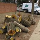 Twin Oak Tree Care - Tree Service