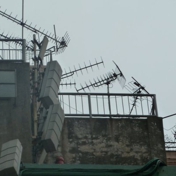 Gallery Image Number 2
