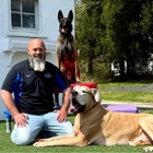 Lead The Way Dog Training