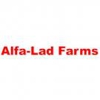 Alfa-Lad Farms gallery