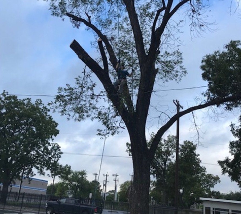 Out On A Limb Tree Care - San Antonio, TX