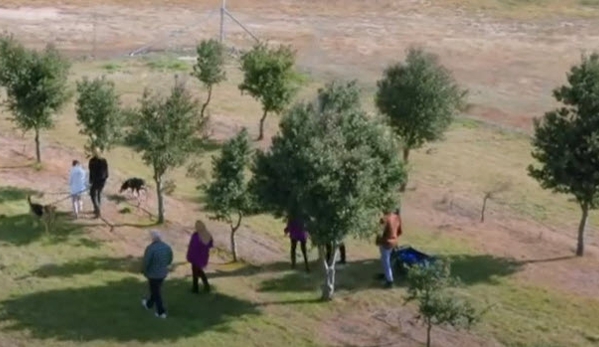 Truffle Hunting at L'air du Wombat - Oallen, NSW