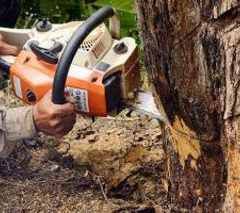 Carlos Tree Service Inc - Anchorage, AK