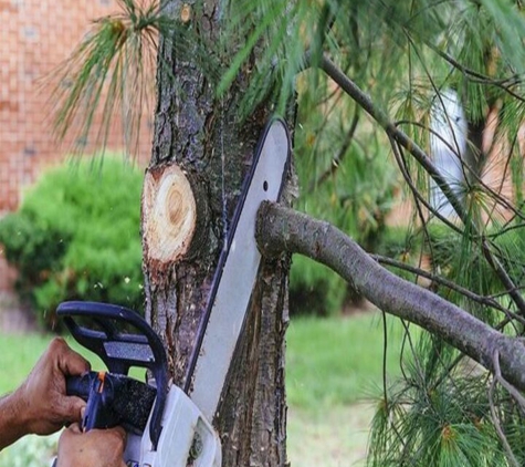 Tony's Tree Service