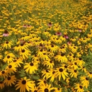 Vermont Wildflower Farm - Farms