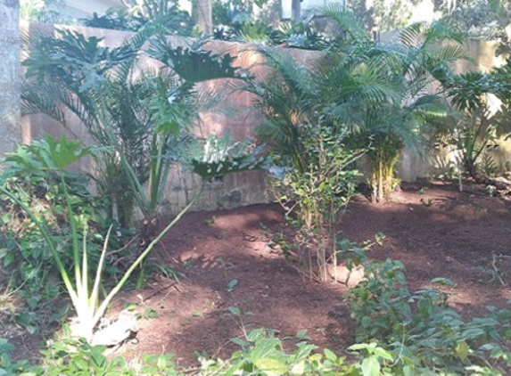 A & R Irrigation and Landscaping LLC - Wesley Chapel, FL. Backyard after cleanup and mulching
