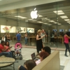 Apple Store gallery