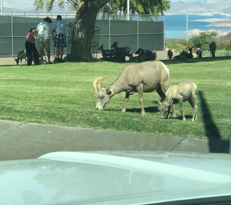 Hemenway Park - Boulder City, NV