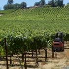 Gregory Graham Winery