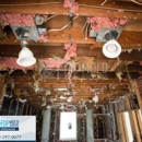 FDP Mold Remediation of Hollywood - Mold Remediation