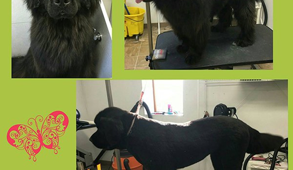 Paw Spa - Monticello, MN. Dog Grooming