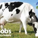 Bob's Dairy Supply Inc