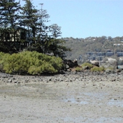 Gallery Image Number 4