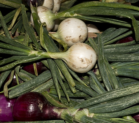 Nurel's Farmers Market - Hampton Bays, NY. GRAET LOCAL VEGETABLES, TOO!