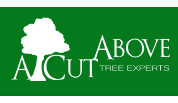 A Cut Above Tree Experts - Wilmington, NC