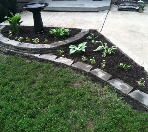 Dandy Lawn Care and Irrigation - Omaha, NE