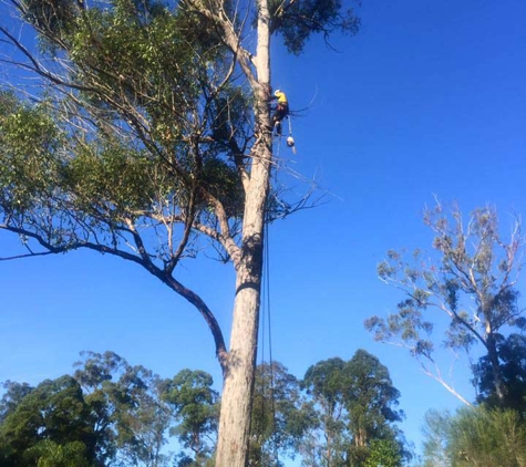 Manning Great Lakes Elite Tree Service - Wingham, NSW