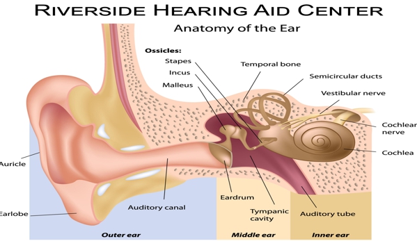 Riverside Hearing Aid Center - Riverside, CA
