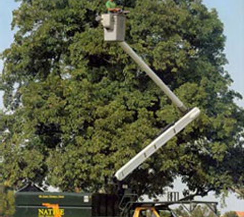 A Native Tree Svc Inc - Miami, FL