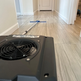 SkyBlue Carpet and Tile Cleaning