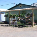 The Green House - Greenhouses