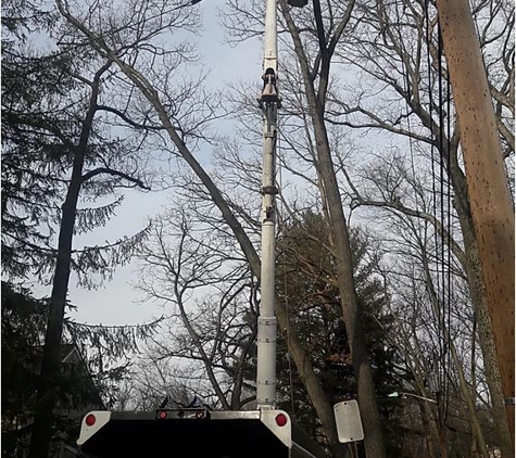 Tico's Tree Svc LLC - Orange, NJ