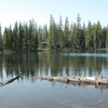 McKenzie River Reflections gallery