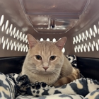 VCA Parkway Animal Hospital