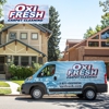 Oxi Fresh Carpet Cleaning gallery