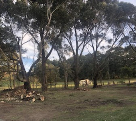 Simpson Trees & Stumps - Alfredton, VIC. Clean up of the dead and lower branches