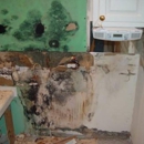Advanced Mold Detection Services - Mold Remediation