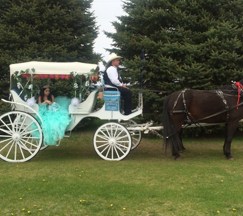 Bulitz Carriage Rides Ltd - Kohler, WI. Carriage rides