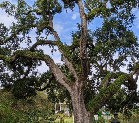 Stanton Hall - Natchez, MS