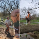 Jameson Tree Pruners - Tree Service