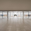 Apple Arrowhead gallery