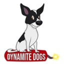 Dynamite Dogs Training & Grooming - Pet Training