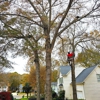 Cantrell's Tree & Land Management gallery