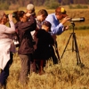 Yellowstone Hiking Guides gallery