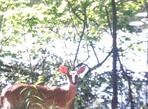 Garret Mountain Reservation - Woodland Park, NJ