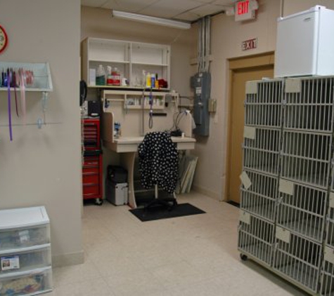 Cornerstone Animal Clinic - Dallas, TX