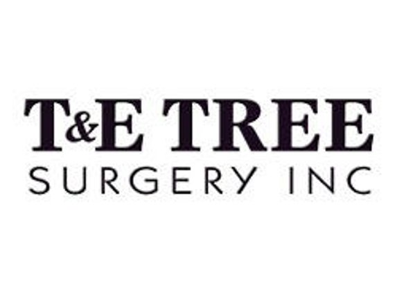 T & E Tree Surgery Inc