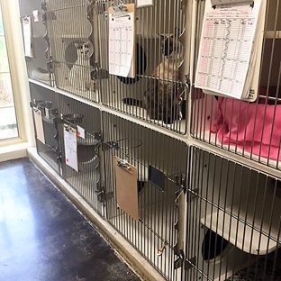 Chenal Valley Animal Hospital - Little Rock, AR