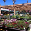 Armstrong Garden Centers gallery