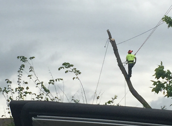 Alberts Walk by Faith Tree Service - Green Ridge, MO